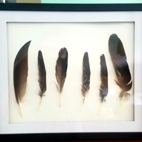 Featherwork Framed 8×10 Wall & Sitting Art/Decor Hang or Stand - Picture 6 of 8